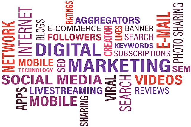 Best Digital Marketing Company in India | Affordable Digital Marketing Services in India
